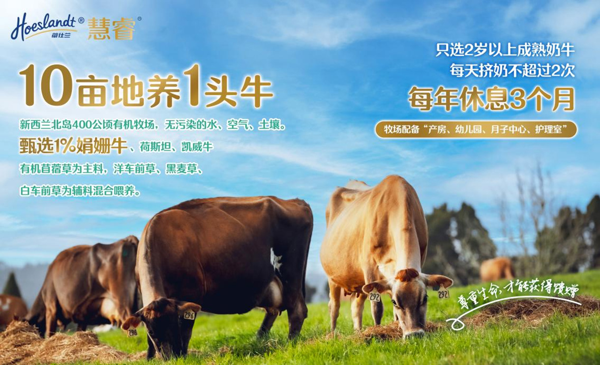 图片8.jpg
