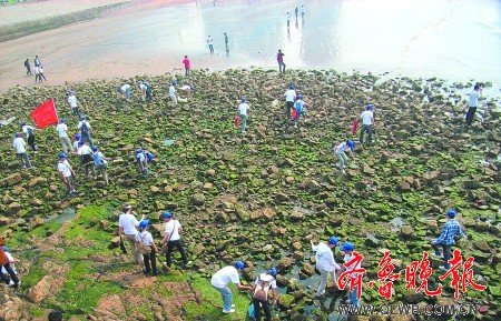 港澳联盟免费资料
